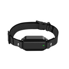  EliteTrain 9898S Empfänger + Halsband